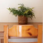 Santos Apartments & Studios